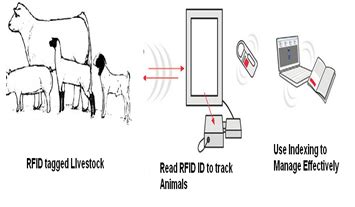 rfid animal tracking system ppt|rfid research paper.